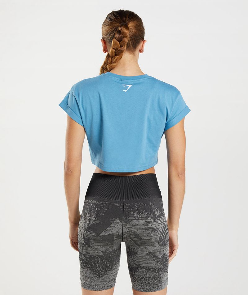 Women's Gymshark Fraction Crop Tops Blue | USA  9681-OGYCD