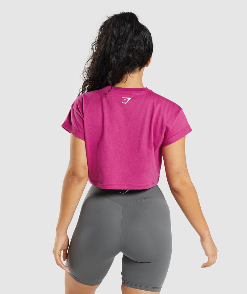 Women's Gymshark Fraction Crop Tops Pink | USA  3760-QYSIC