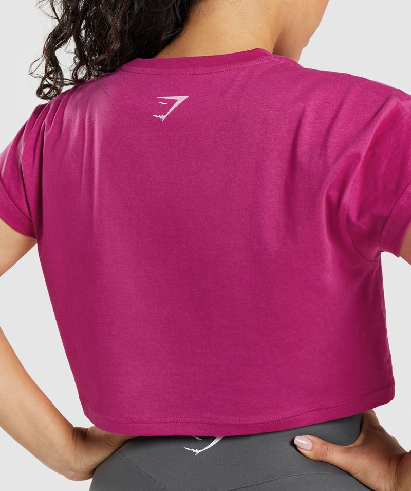 Women's Gymshark Fraction Crop Tops Pink | USA  3760-QYSIC