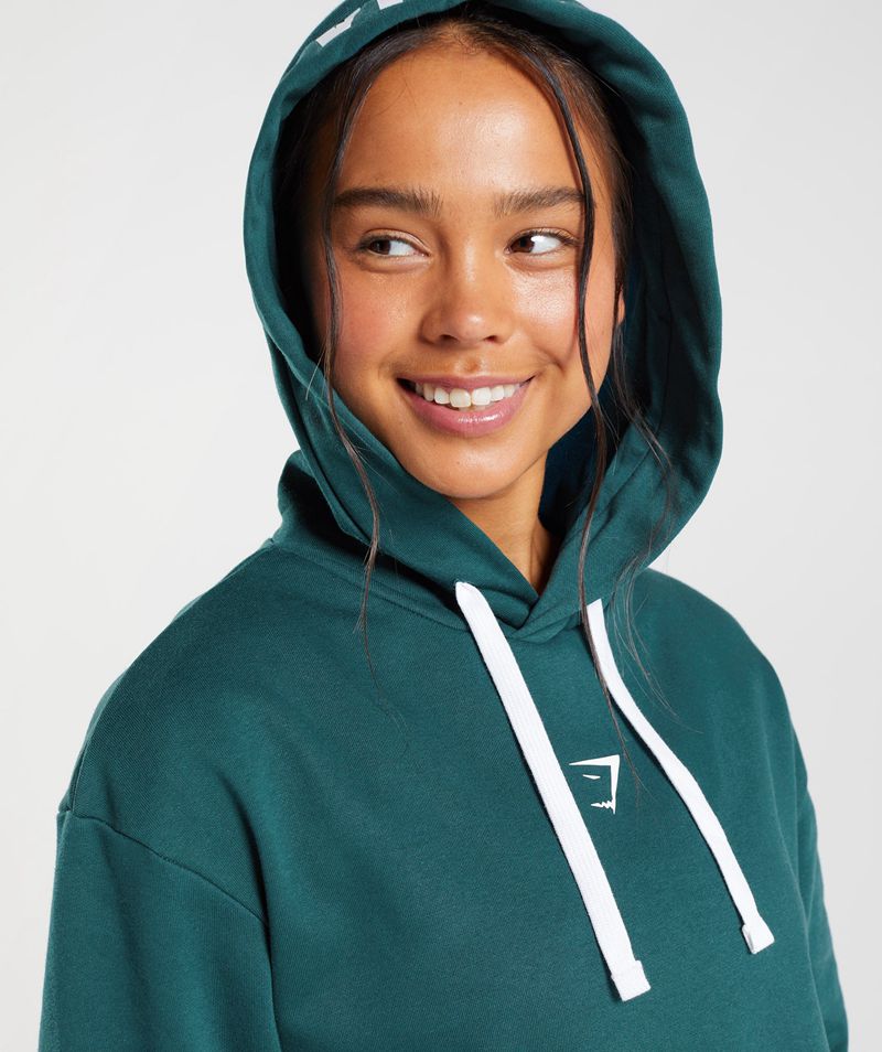 Women's Gymshark Fraction Hoodie Turquoise | USA  6791-MUFVO