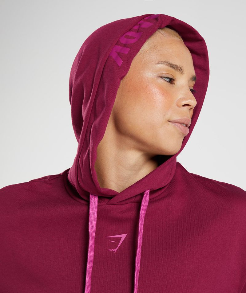 Women's Gymshark Graphics Fraction Hoodie Pink | USA  0648-QWTKC