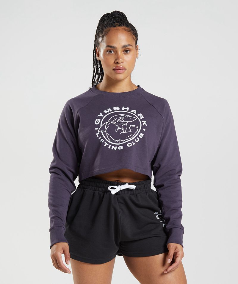 Women\'s Gymshark Legacy Cropped Sweatshirts Purple | USA  9146-KPJMH