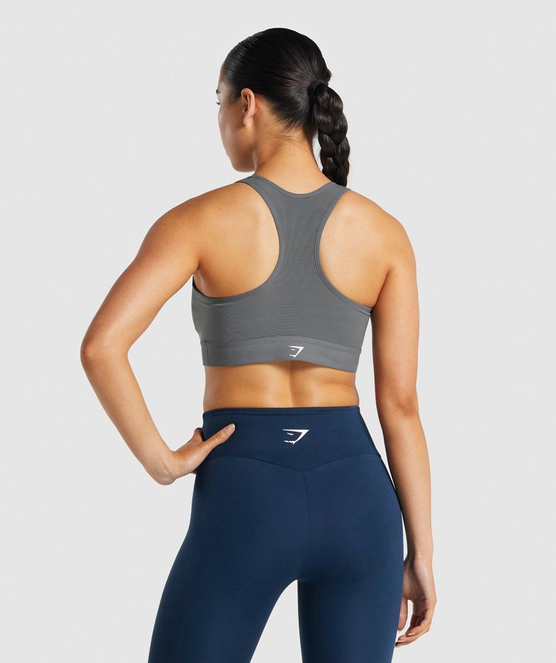 Women's Gymshark Lightweight High Support Sports Bra Grey | USA  5246-ODIUW