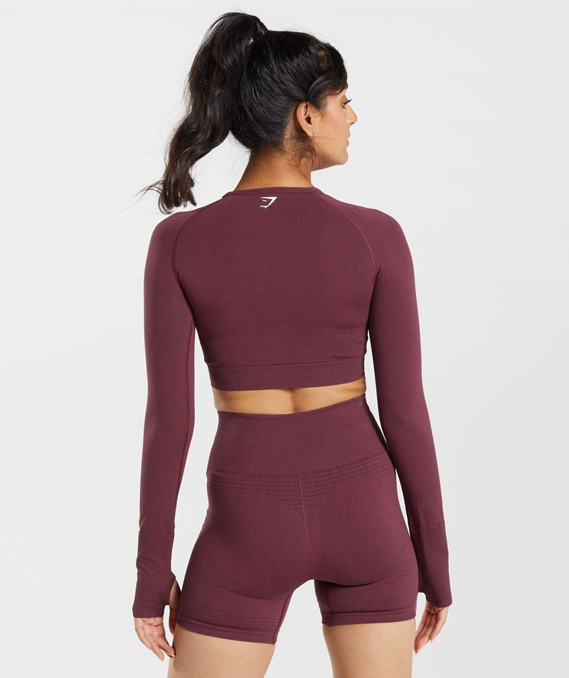 Women's Gymshark Vital Seamless 2.0 Crop Tops Burgundy | USA  0459-TDWPE