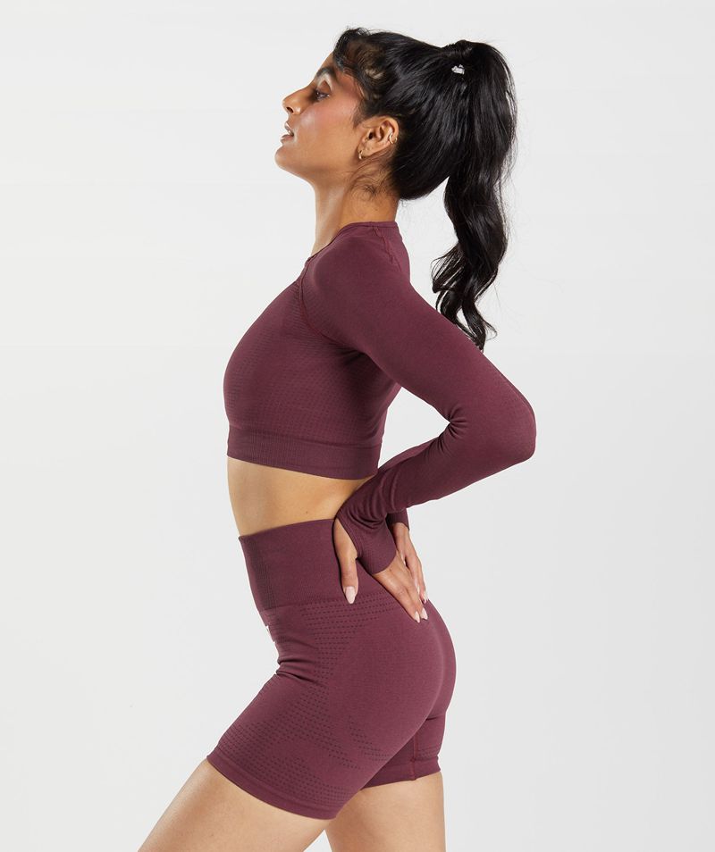 Women's Gymshark Vital Seamless 2.0 Crop Tops Burgundy | USA  0459-TDWPE