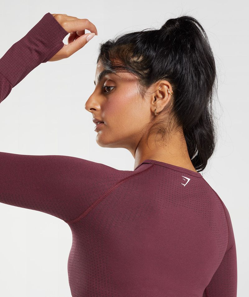 Women's Gymshark Vital Seamless 2.0 Crop Tops Burgundy | USA  0459-TDWPE