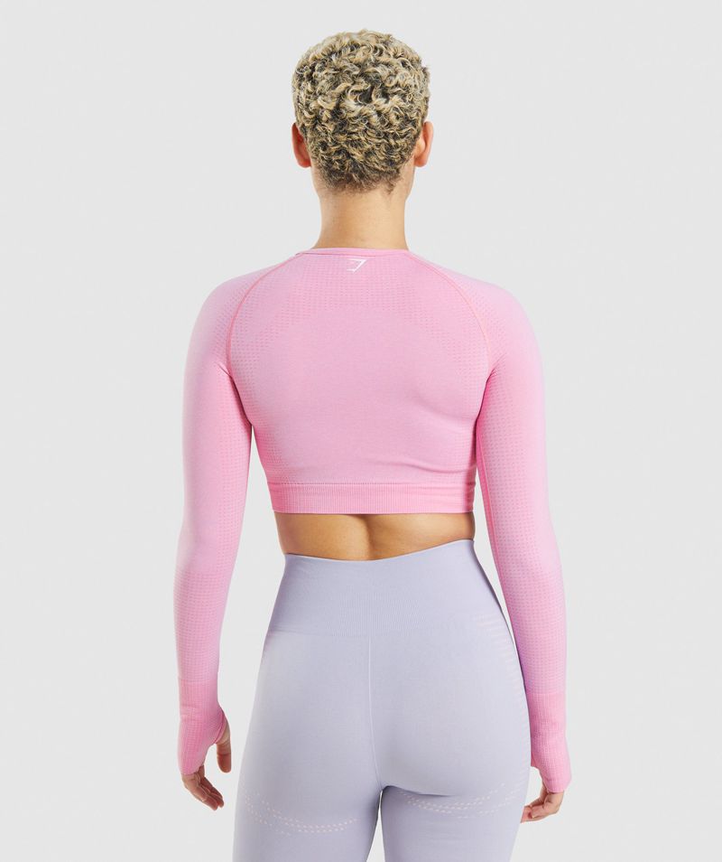 Women's Gymshark Vital Seamless 2.0 Crop Tops Pink | USA  2016-SYZMQ