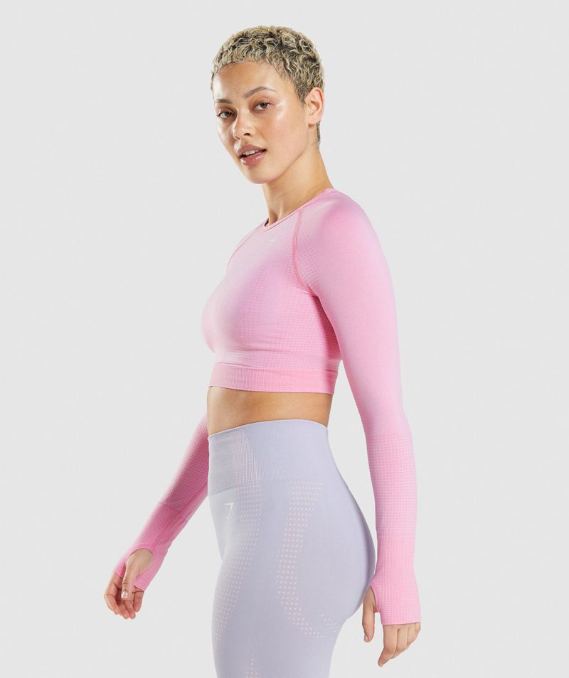 Women's Gymshark Vital Seamless 2.0 Crop Tops Pink | USA  2016-SYZMQ