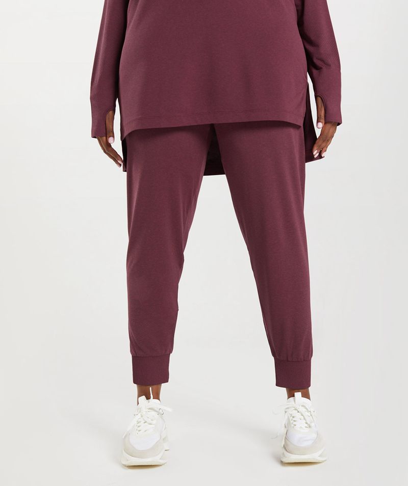 Women's Gymshark Vital Seamless 2.0 Joggers Burgundy | USA  1436-LBVWH