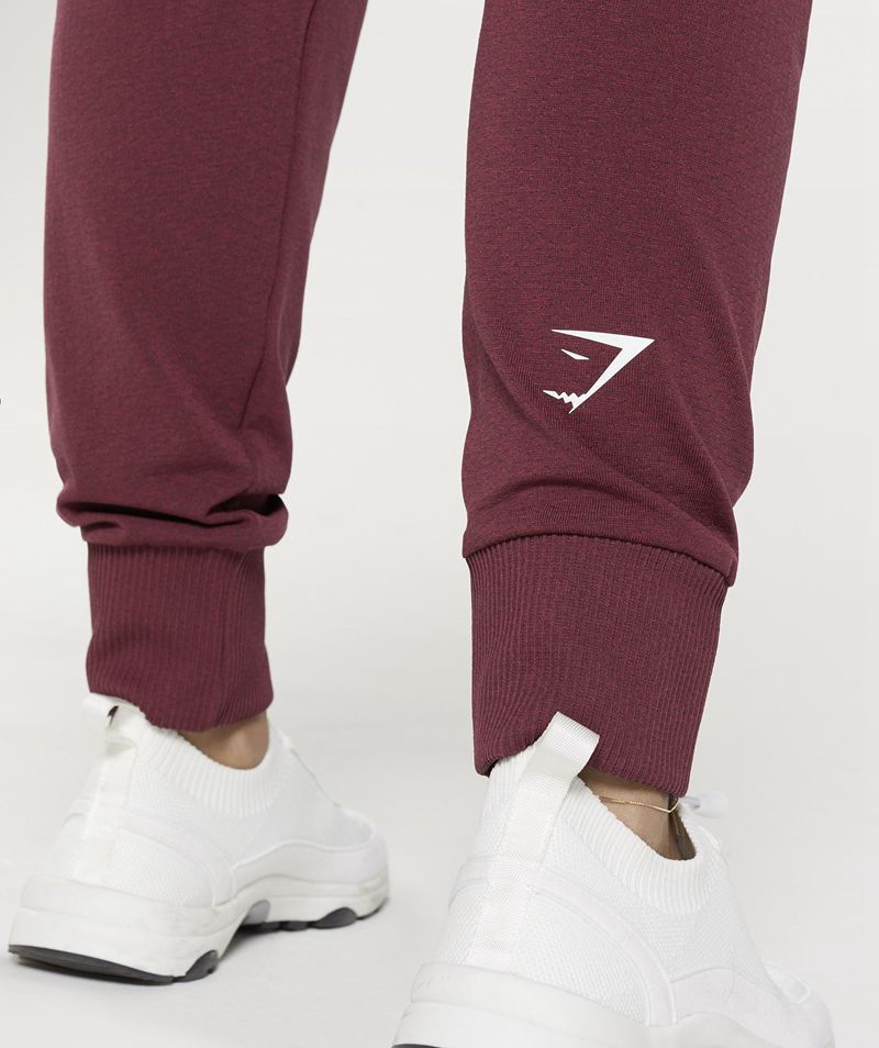 Women's Gymshark Vital Seamless 2.0 Joggers Burgundy | USA  1436-LBVWH