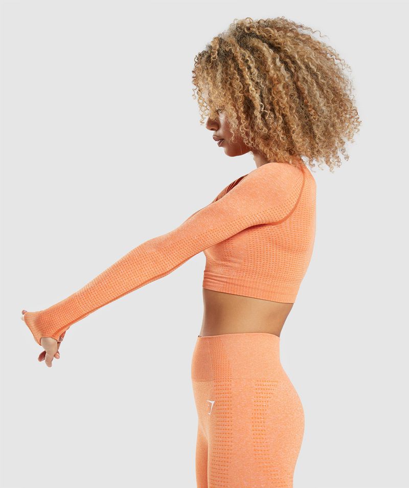 Women's Gymshark Vital Seamless 2.0 Long Sleeve Crop Tops Orange | USA  3684-GKINO