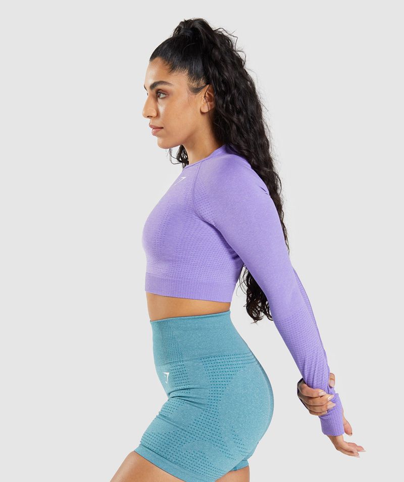 Women's Gymshark Vital Seamless 2.0 Long Sleeve Crop Tops Light Purple | USA  5604-KSJPZ