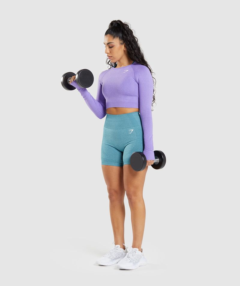 Women's Gymshark Vital Seamless 2.0 Long Sleeve Crop Tops Light Purple | USA  5604-KSJPZ