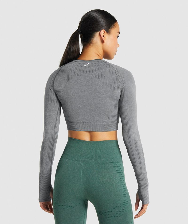 Women's Gymshark Vital Seamless 2.0 Long Sleeve Crop Tops Grey | USA  6271-NQCRA