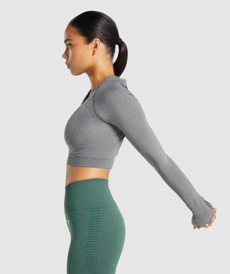 Women's Gymshark Vital Seamless 2.0 Long Sleeve Crop Tops Grey | USA  6271-NQCRA