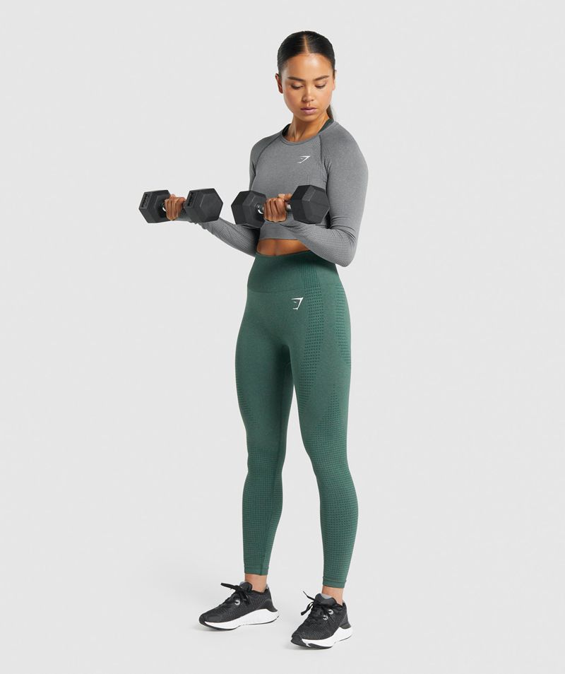 Women's Gymshark Vital Seamless 2.0 Long Sleeve Crop Tops Grey | USA  6271-NQCRA