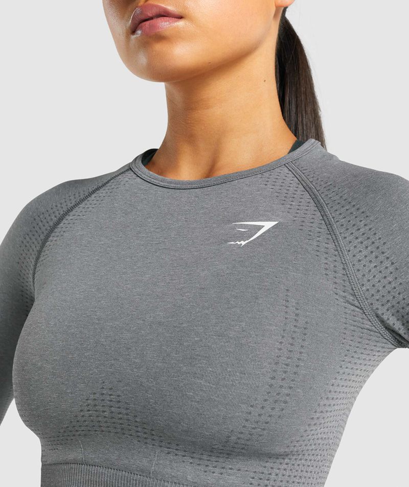 Women's Gymshark Vital Seamless 2.0 Long Sleeve Crop Tops Grey | USA  6271-NQCRA