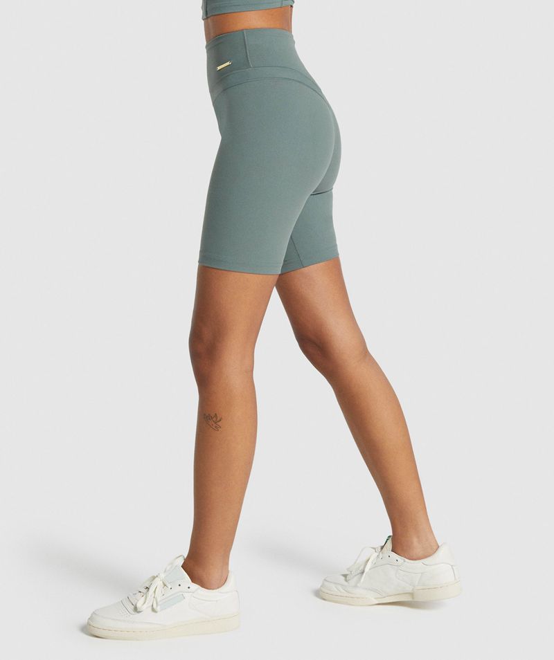 Women's Gymshark Whitney Cycling Shorts Grey | USA  1098-TEAHJ