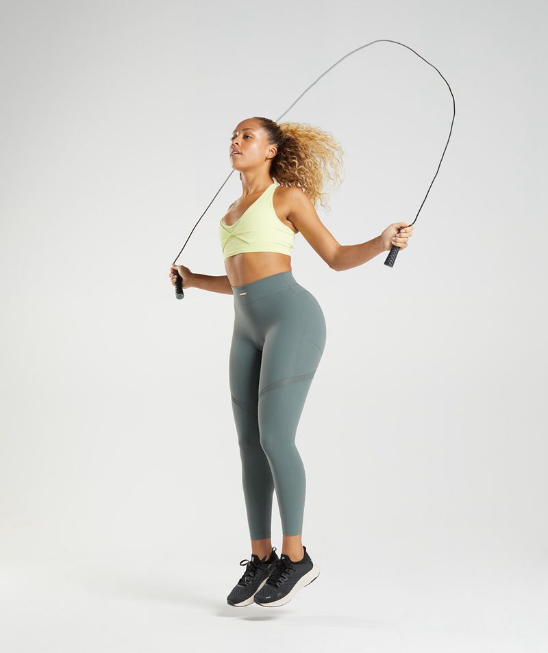 Women's Gymshark Whitney Mesh Leggings Grey | USA  1892-YQZAF